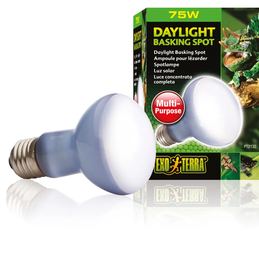 Exo Terra Daylight Basking Spot R20/75 W