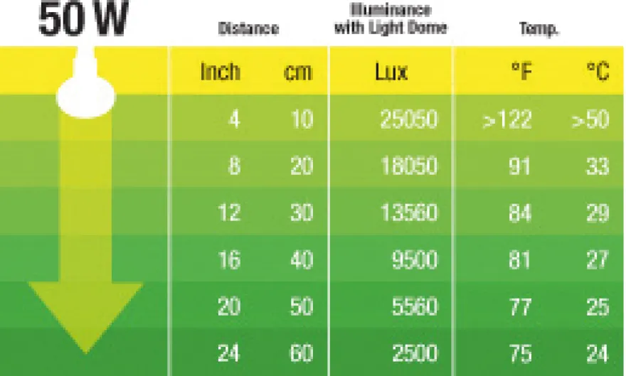 Exo Terra Daylight Basking Spot R20/50 W