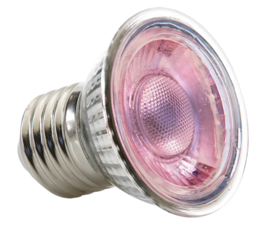 Exo Terra Daylight LED Spot NANO 5W