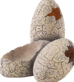 Exo Terra Dinosaurier Eier klein