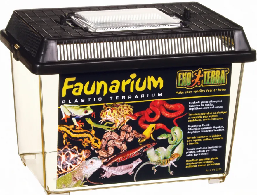 Exo Terra Faunarium klein