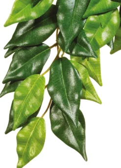Exo Terra Fikus klein
