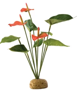 Exo Terra Flamingoblume
