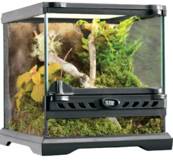 Exo Terra Glas Terrarium 20x20x20 cm