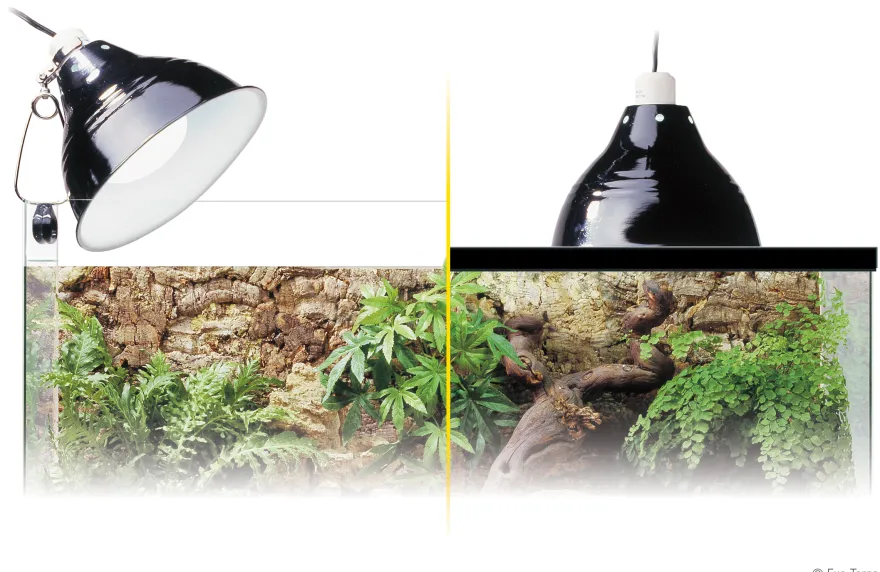 Exo Terra Glow Light Porzellan