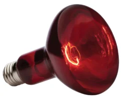 Exo Terra Infrarot-Spotlampe Heat GL R30/150 W