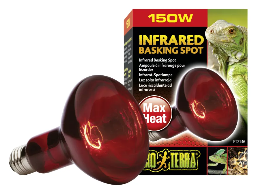 Exo Terra Infrarot-Spotlampe Heat GL R30/150 W