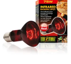 Exo Terra Infrarot-Spotlampe Heat GL R20/75 W