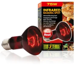 Exo Terra Infrarot-Spotlampe Heat GL R20/50 W
