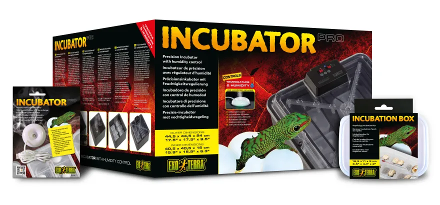 Exo Terra Inkubations-Box