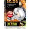 Exo Terra Intense Basking Spot R25/100W
