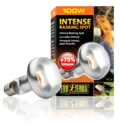 Exo Terra Intense Basking Spot R25/100W