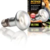 Exo Terra Intense Basking Spot R20/75W