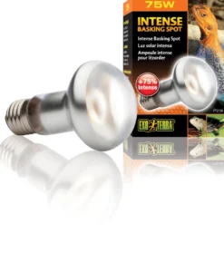 Exo Terra Intense Basking Spot R20/75W