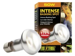 Exo Terra Intense Basking Spot R20/50W