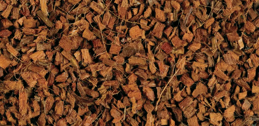 Exo Terra Kokoschips