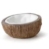 Exo Terra Kokosnuss Wassernapf