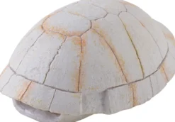 Exo Terra Landschildkröten Skelett