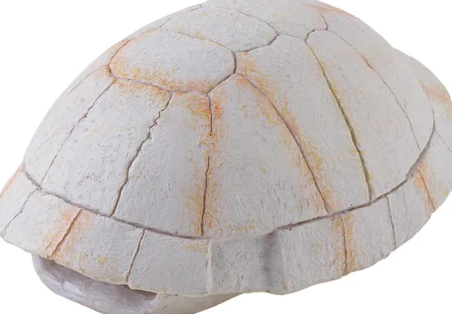 Exo Terra Landschildkröten Skelett