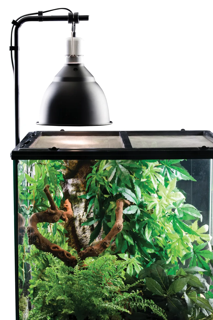 Exo Terra Lichtklammer
