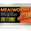 Exo Terra Mehlwürmer 34 g