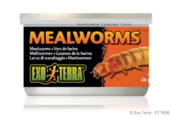 Exo Terra Mehlwürmer 34 g