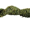 Exo Terra Moos Liane klein