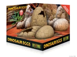 Exo Terra Ornament Dinosauriereier