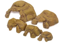 Exo Terra Reptile Cave S