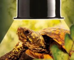 Exo Terra Reptile Dome klein