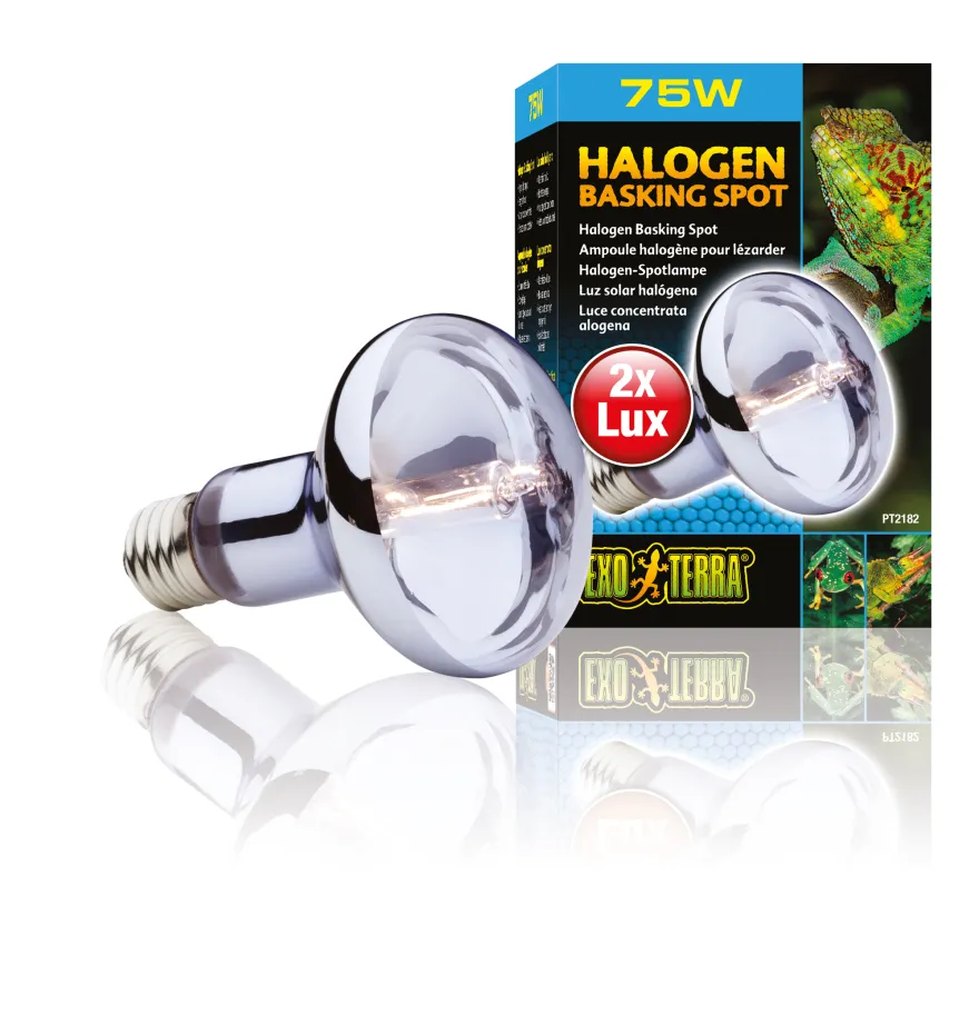 Exo Terra Sun Glo Halogen 75 W