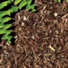 Exo Terra Tropica lTerrarium-Substrate Jungle Earth, 8,8l