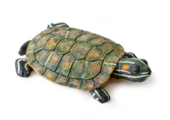 Exo Terra Turtle Turtle Island
