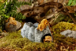 Exo Terra Wet Rock - Keramikhöhle groß