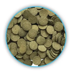 Fluval Bug Bites Algae Wafers 100 ml