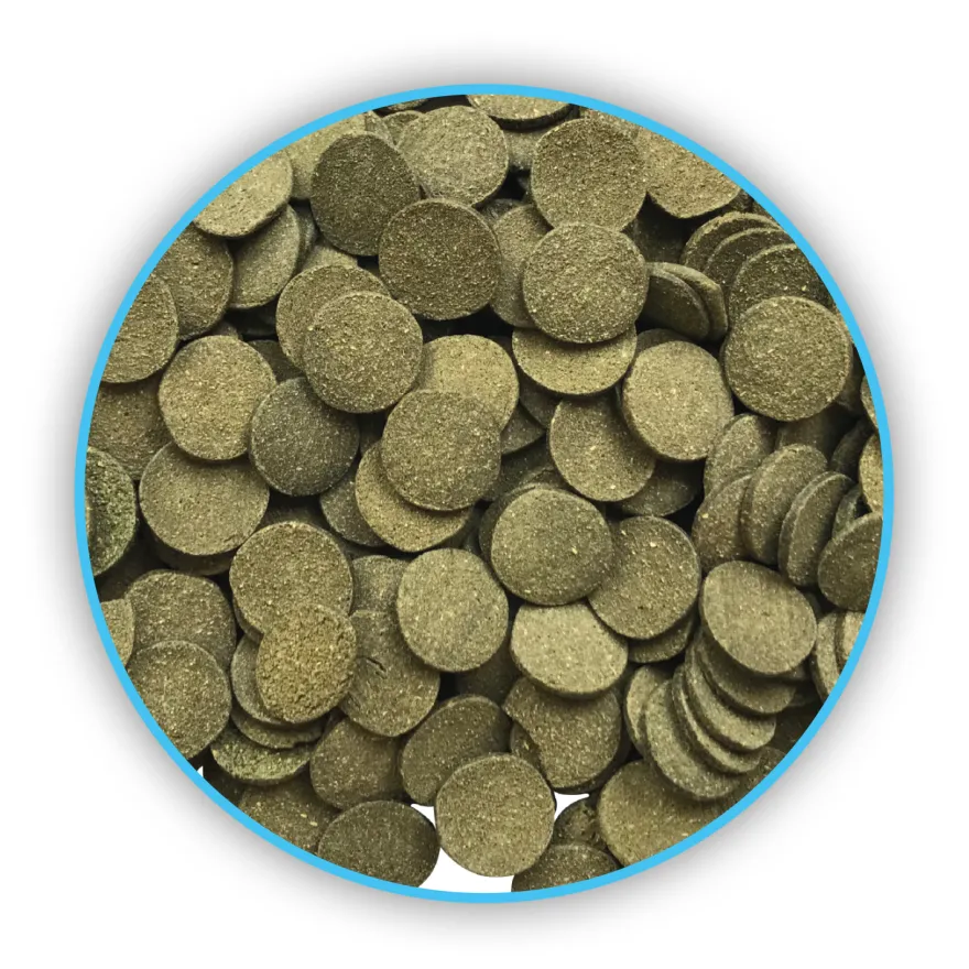 Fluval Bug Bites Algae Wafers 100 ml