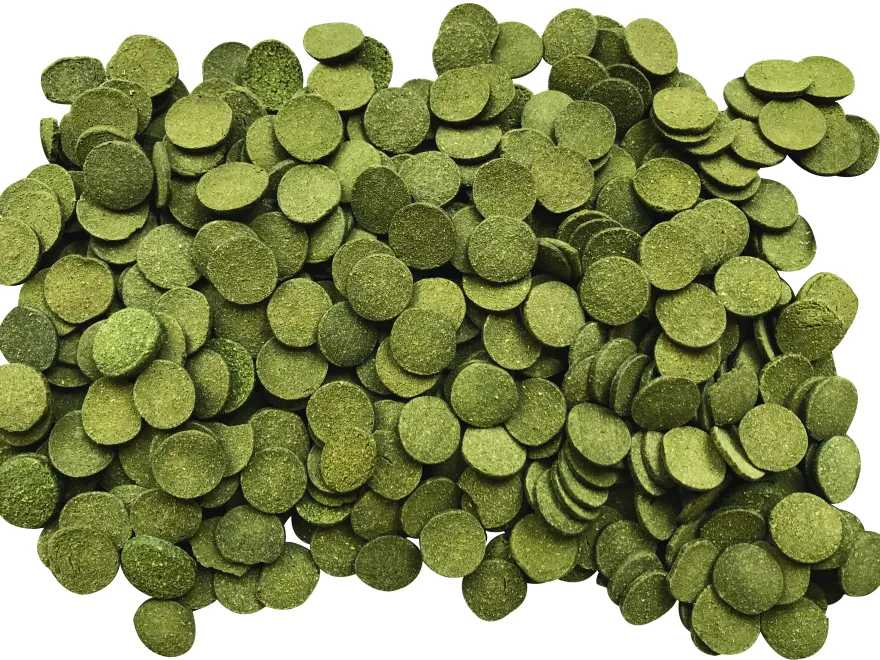 Fluval Bug Bites Algae Wafers 100 ml