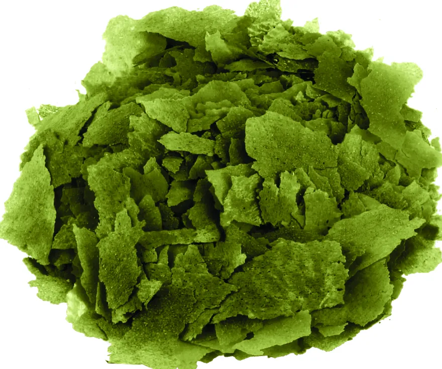 Fluval Bug Bites Spirulina Flakes 100 ml