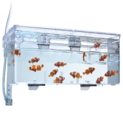 Fluval Hang on Aufzuchtbecken L (2 ,0 l)