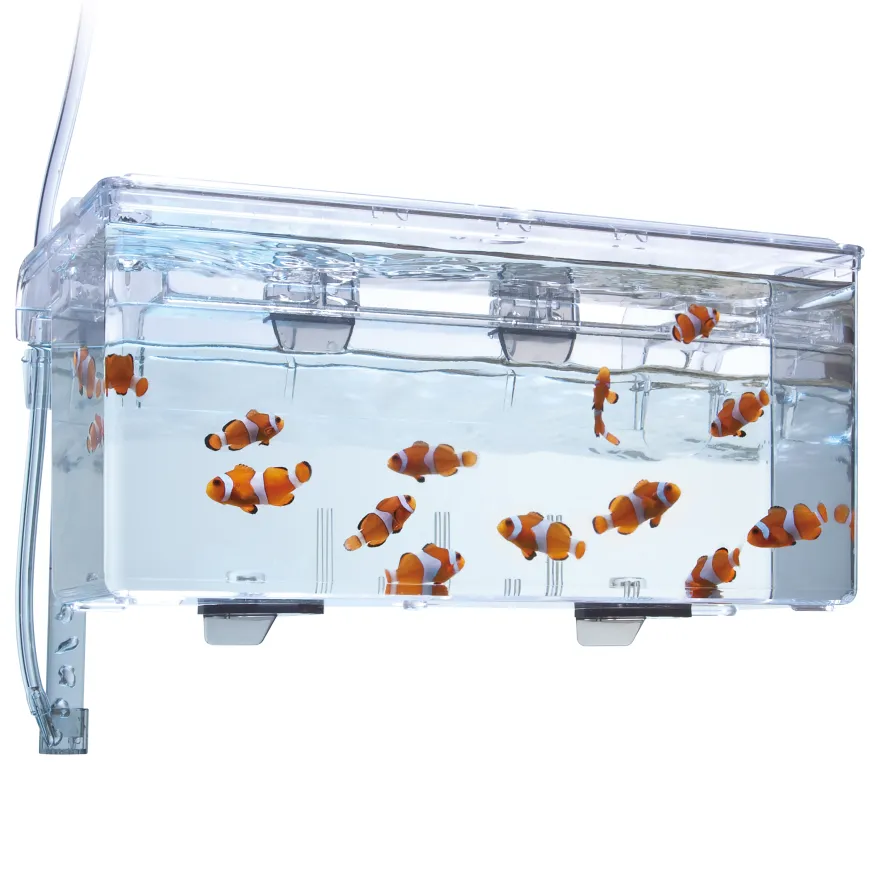 Fluval Hang on Aufzuchtbecken L (2 ,0 l)