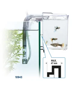 Fluval Hang on Aufzuchtbecken L (2 ,0 l)