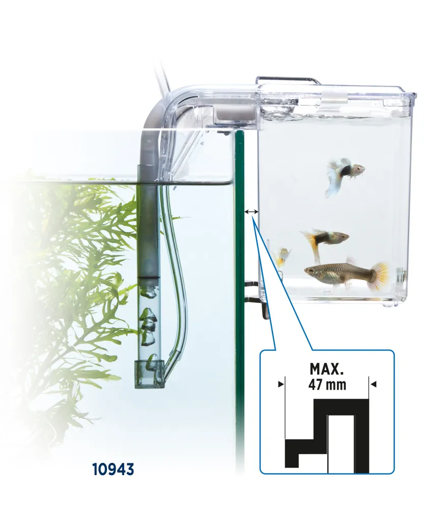 Fluval Hang on Aufzuchtbecken L (2 ,0 l)
