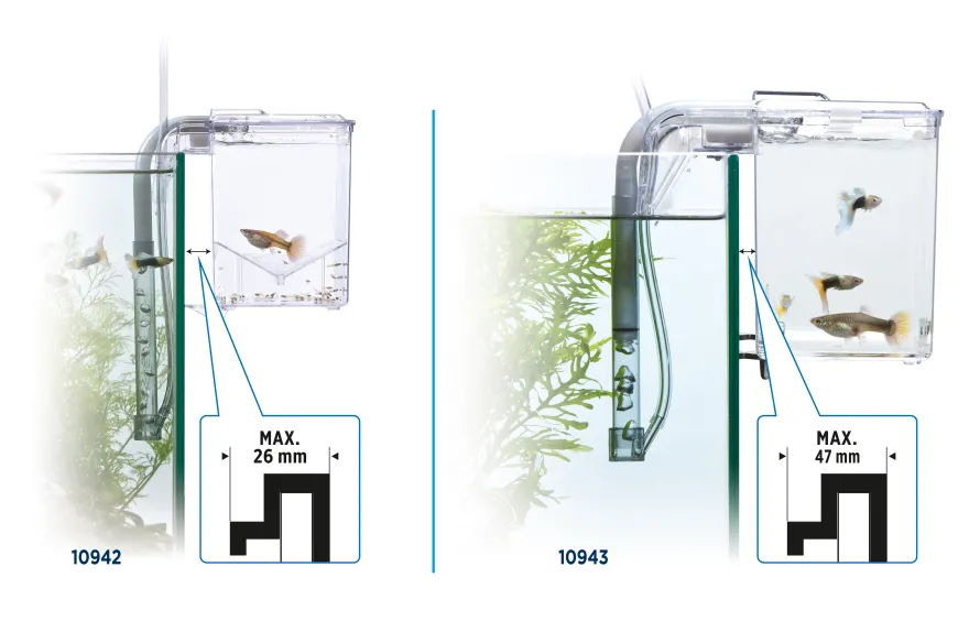Fluval Hang on Aufzuchtbecken M (1,2 l)