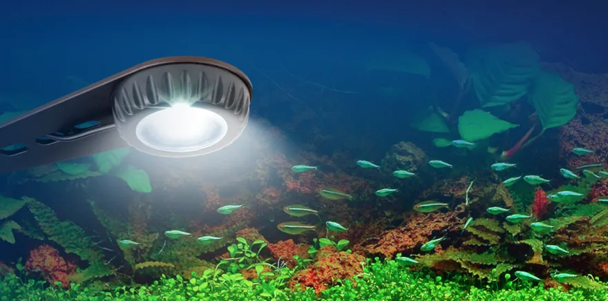Fluval Nano LED