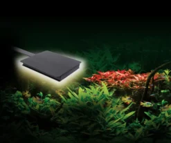 Fluval Nano Plant LED