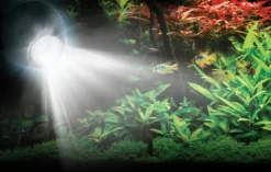 Fluval 6.5W RGB LED Spot Light