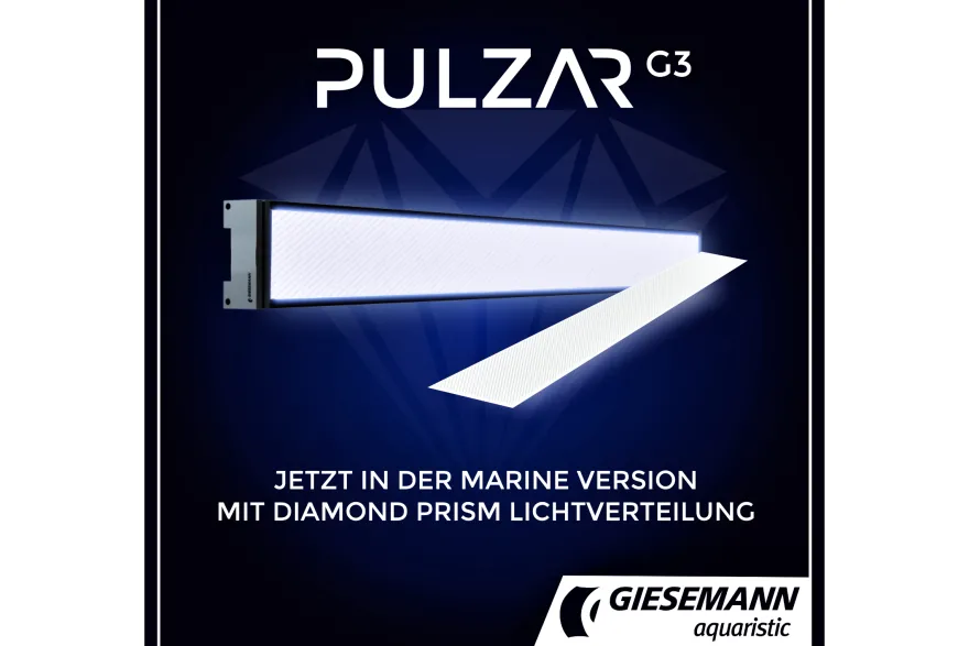 Giesemann PULZAR G3 Deep blue, 12 W 155 mm