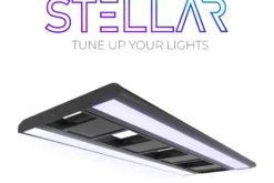 Giesemann STELLAR LED Tropic, 600 mm - 2 x 40 W, weiß