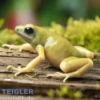 Goldbaumsteiger EI Oro, Dendrobates auratus