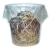 Große Fruchtfliege, Drosophila hydei, Zuchtansatz, 1 Liter
